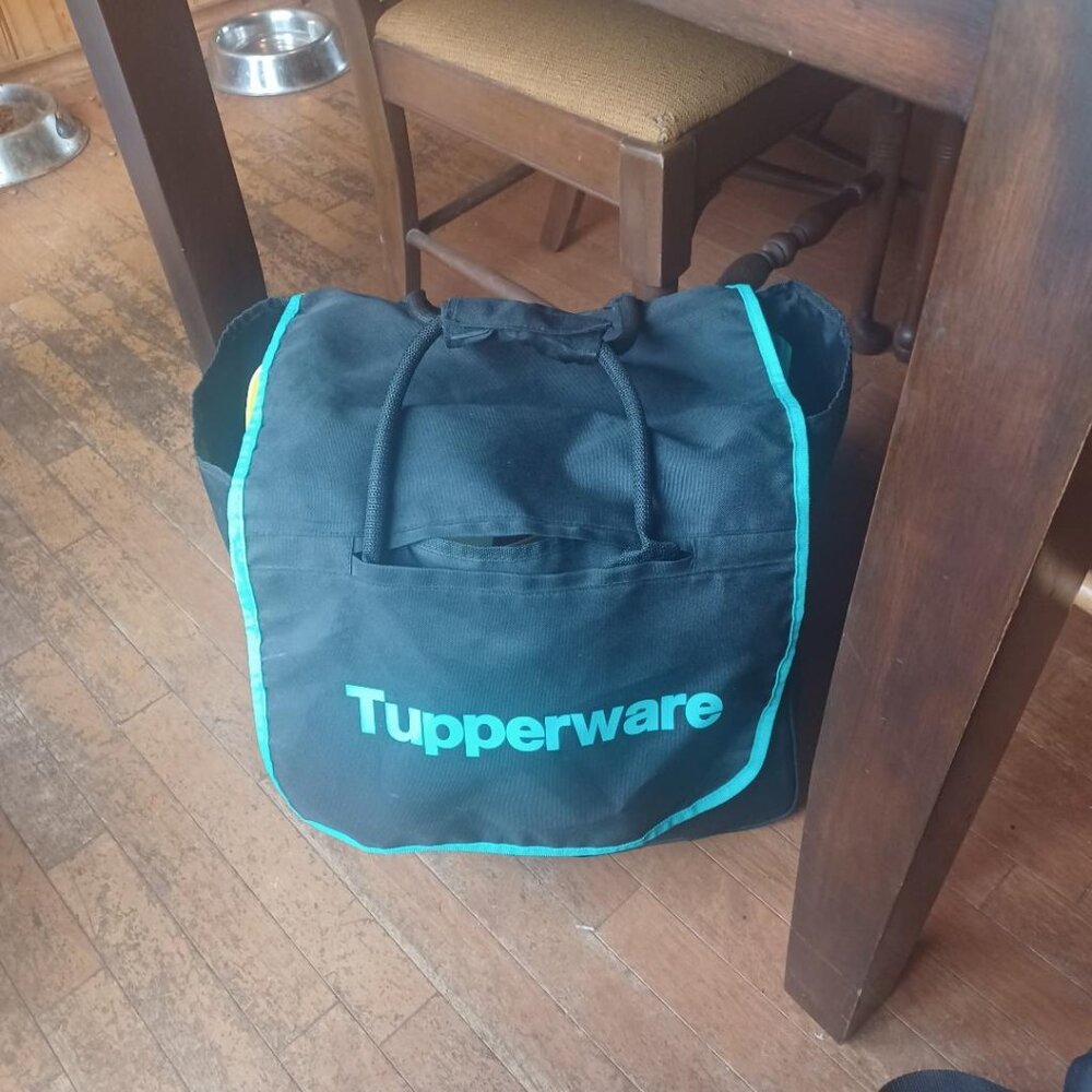 Tupperware Picnic Bag